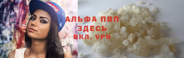 мдпв Магас