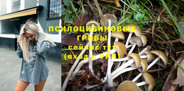 эйфоретик Санкт-Петербург