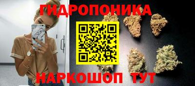 дурь Ликино-Дулёво