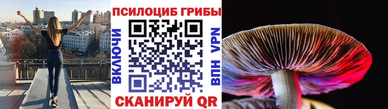 Псилоцибиновые грибы прущие грибы  магазин    ссылка на мегу ссылка  Усинск 
