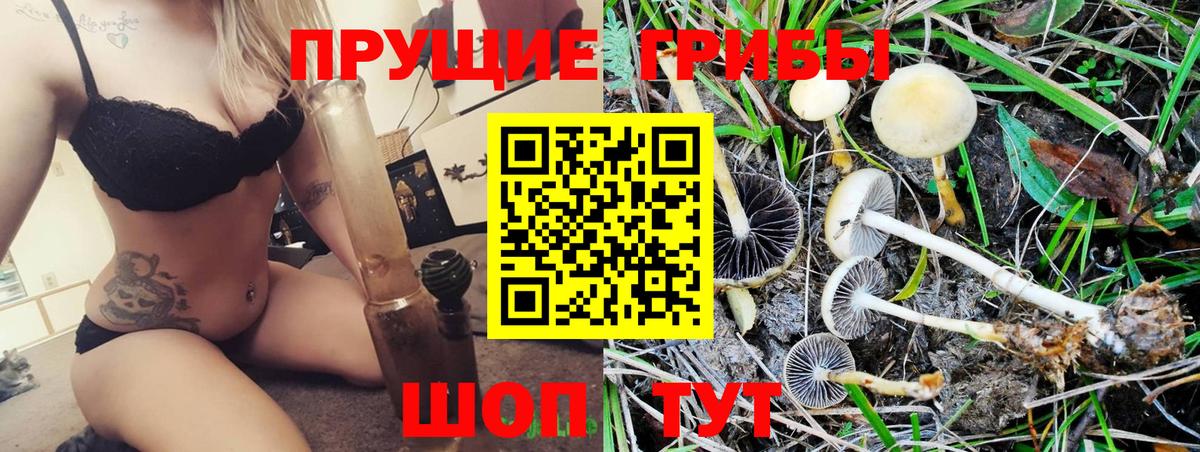 Псилоцибиновые грибы MAGIC MUSHROOMS  Вход с VPN  Усинск 
