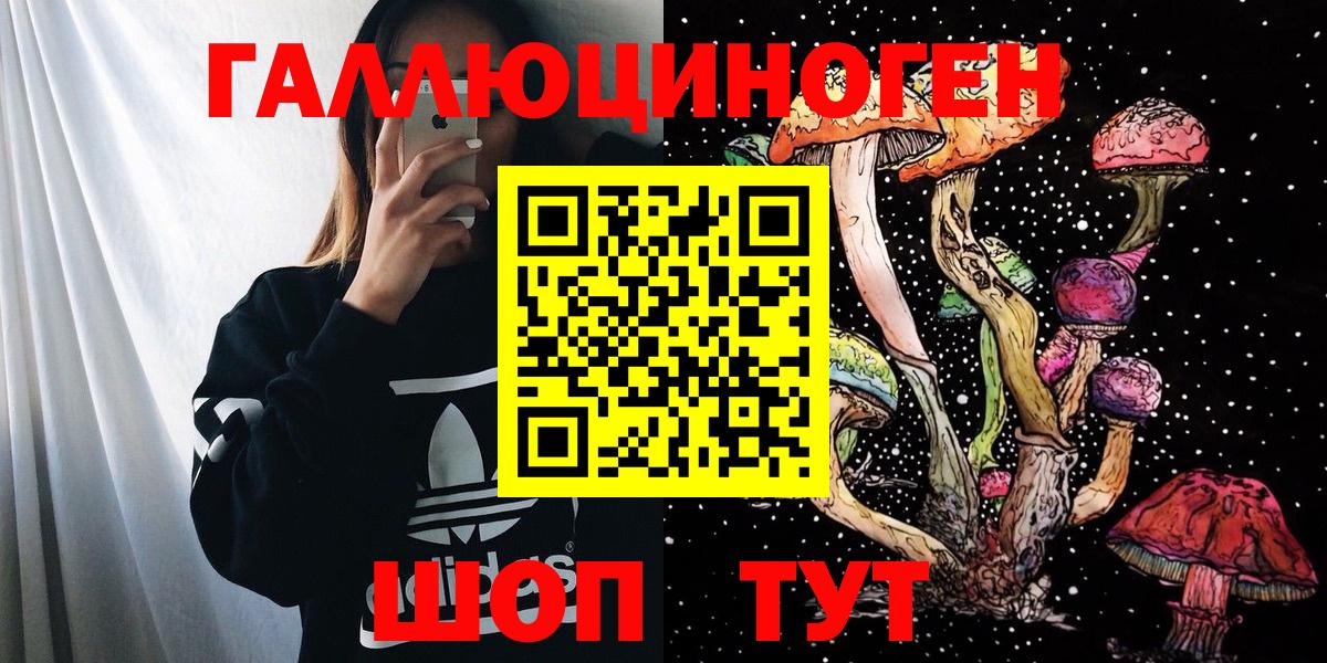 Псилоцибиновые грибы Psilocybe Усинск